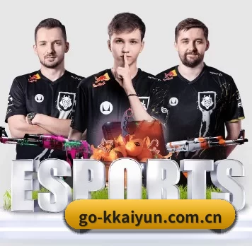 go-kkaiyun.com.cn APP（kaiyun sports）